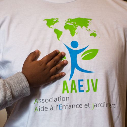 www.aaejv.org